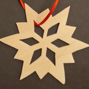 Nordischer Winterstern