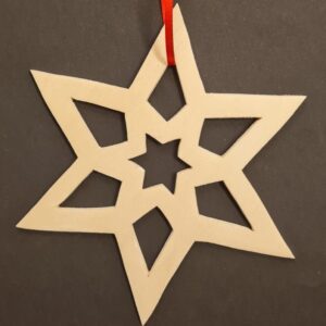 Nordischer Winterstern